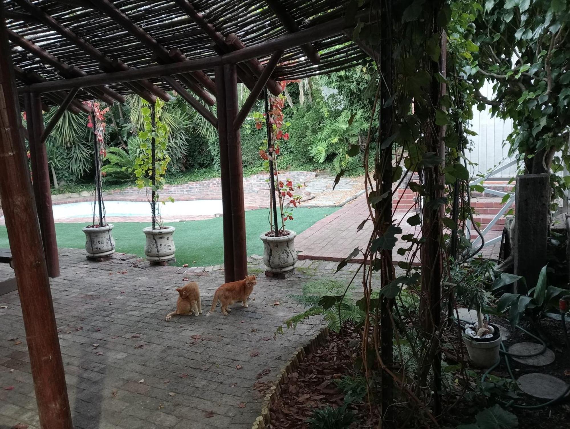 Marinda'S B&B Κέιπ Τάουν Εξωτερικό φωτογραφία
